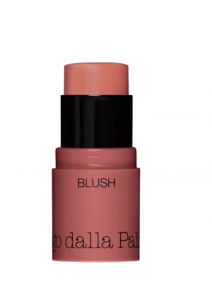 ALL IN ONE - BLUSH IN STICK 41 Diego Dalla Palma
