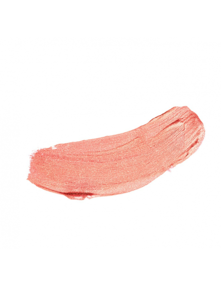 ALL IN ONE - BLUSH IN STICK 41 Diego Dalla Palma