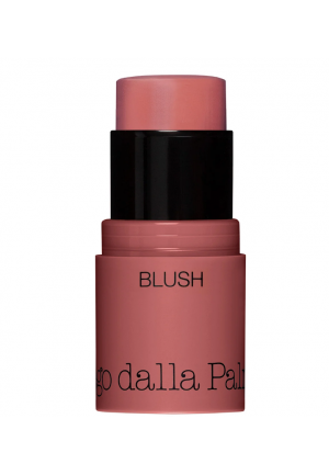 ALL IN ONE BLUSH IN STICK 43 Diego Dalla Palma DF102043