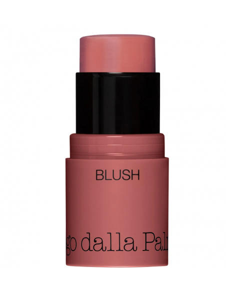 ALL IN ONE BLUSH IN STICK 43 Diego Dalla Palma DF102043