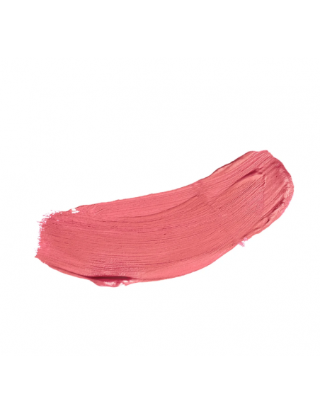 ALL IN ONE BLUSH IN STICK 43 Diego Dalla Palma DF102043
