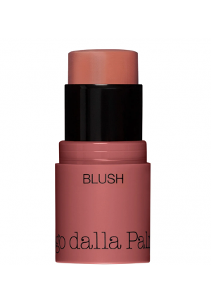 ALL IN ONE - BLUSH IN STICK 45 Diego Dalla Palma DF102045