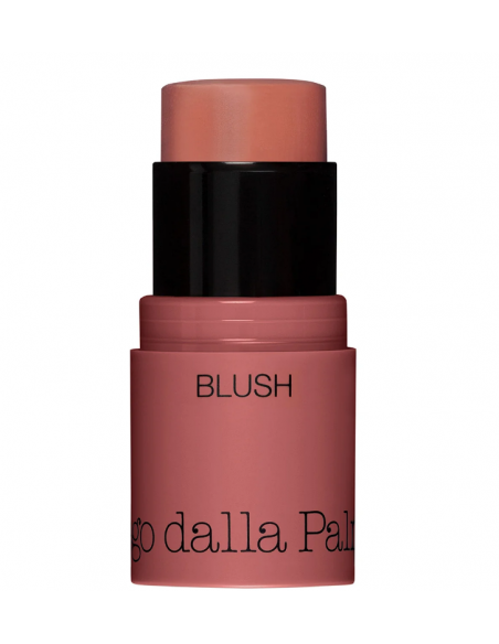 ALL IN ONE - BLUSH IN STICK 45 Diego Dalla Palma DF102045