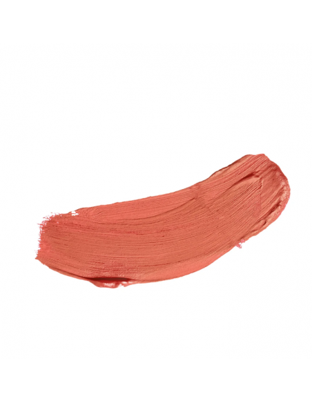 ALL IN ONE - BLUSH IN STICK 45 Diego Dalla Palma DF102045