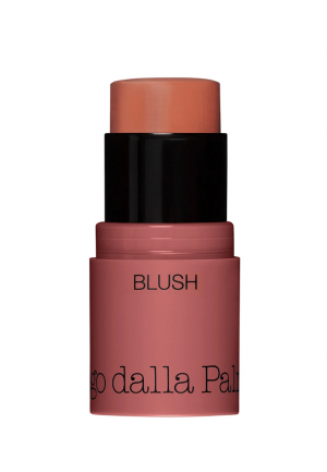 ALL IN ONE BLUSH IN STICK  42 Diego Dalla Palma DF102042