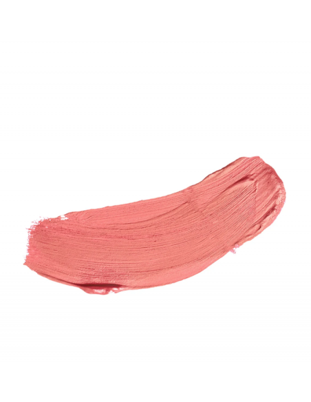 ALL IN ONE BLUSH IN STICK 42 Diego Dalla Palma DF102042
