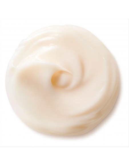 SHISEIDO Benefiance NutriPerfect Day Cream
