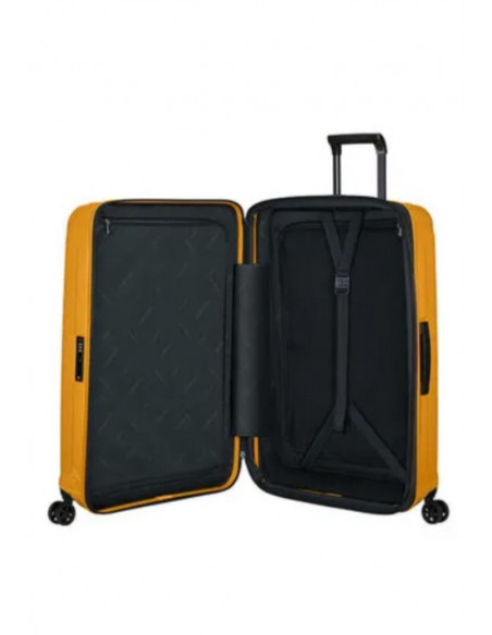 SPINNER 55 20