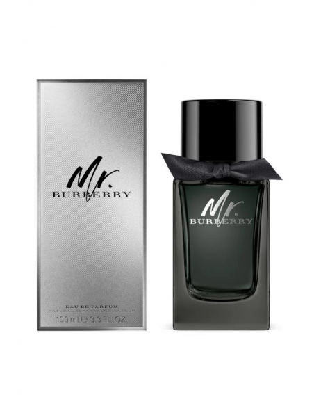 BURBERRY MR BURBERRY  EDP 100 ml