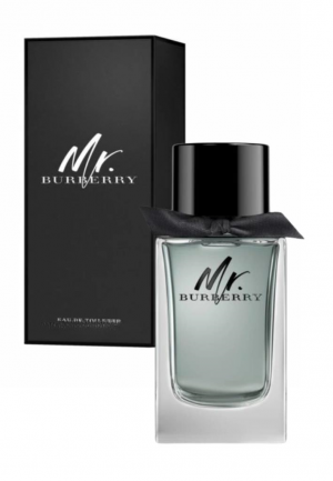 BURBERRY Mr. Burberry Eau de Toilette 100 ml