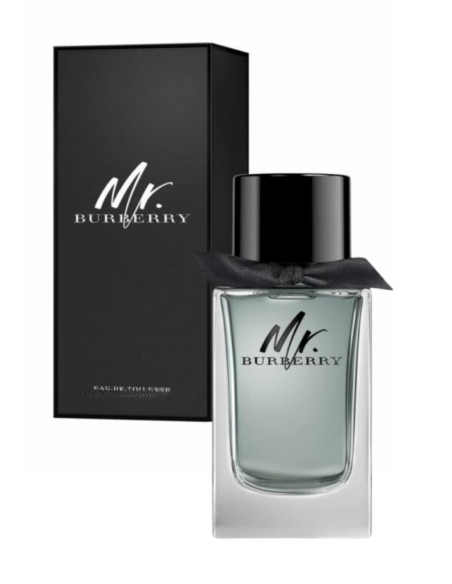 BURBERRY Mr. Burberry Eau de Toilette 100 ml