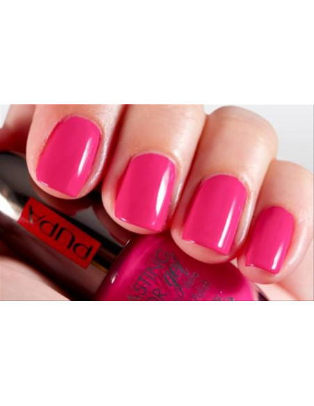 Pupa Lasting Color Gel 017