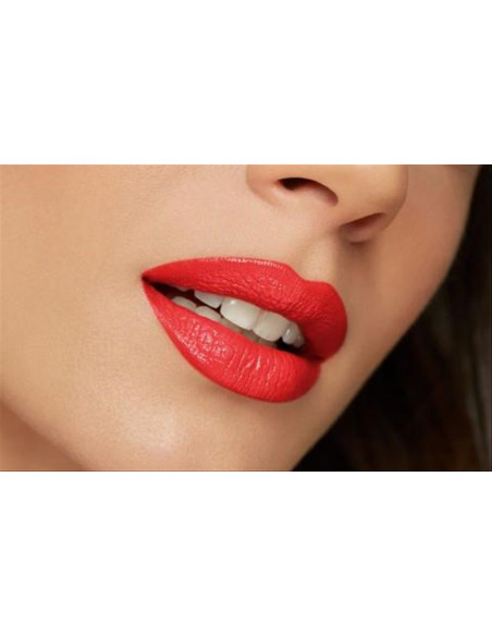 Pupa Rossetto I'M 302