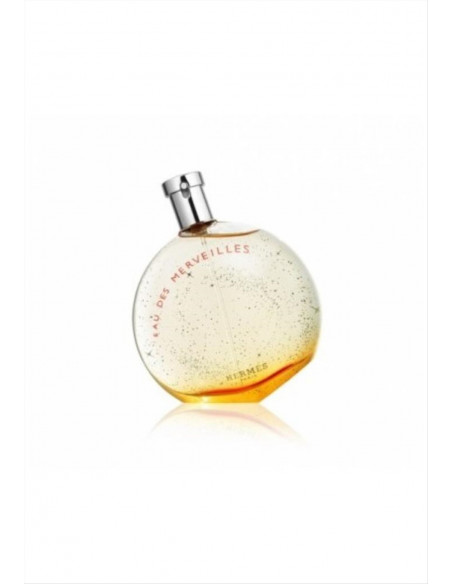 Hermès Eau des Merveilles Eau de toilette 100 ml